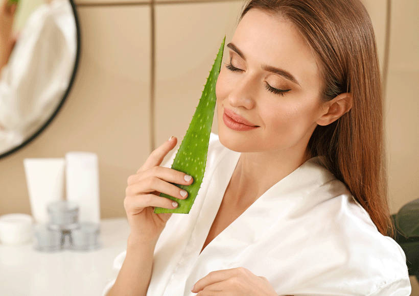 Tout connaitre sur Aloe Vera