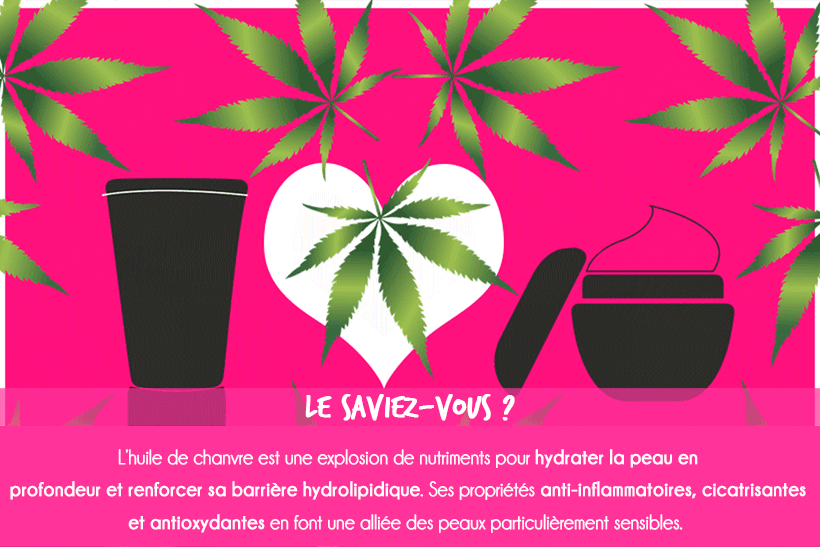 Le chanvre : Tout ce que vous avez toujours voulu savoir sur lui ! ?
