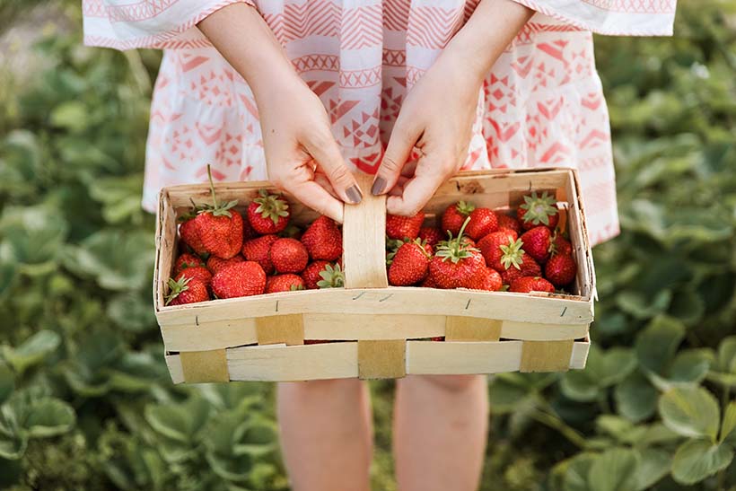 Fruits Rouges_Fraises