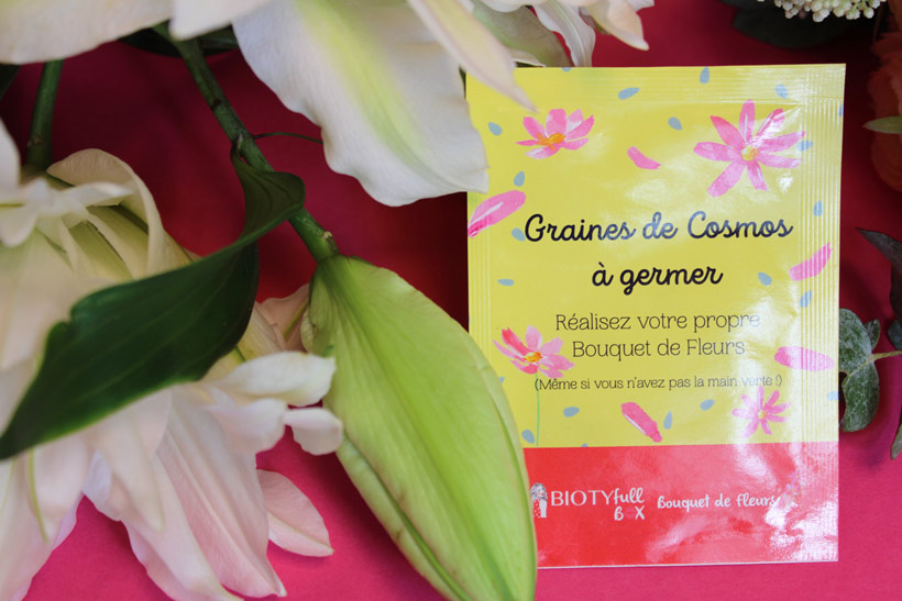 Biotyfull Graines de Cosmos à Germer : Un bouquet printanier pour votre  salon