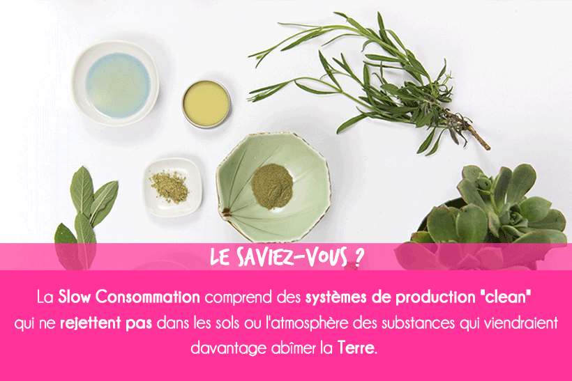 Slow consommation : Pourquoi s’essayer à la SLOW consommation ?