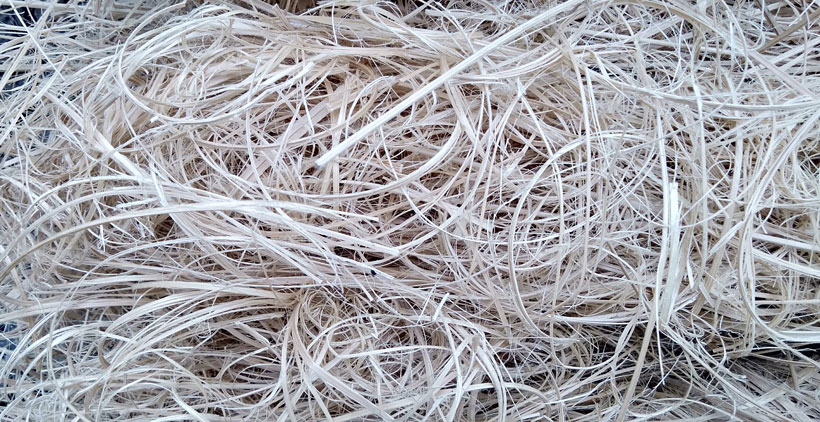 Fibres naturelles végétales