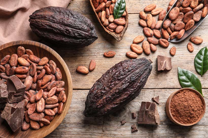 Quelle Est La Composition Du Beurre De Cacao ?