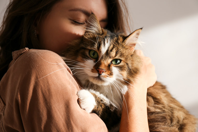 Soins naturels pour chat : dorloter votre chat naturellement
