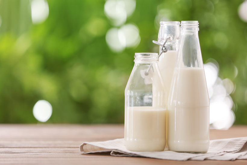 Le lait d’ânesse : son histoire et ses vertus pour la peau