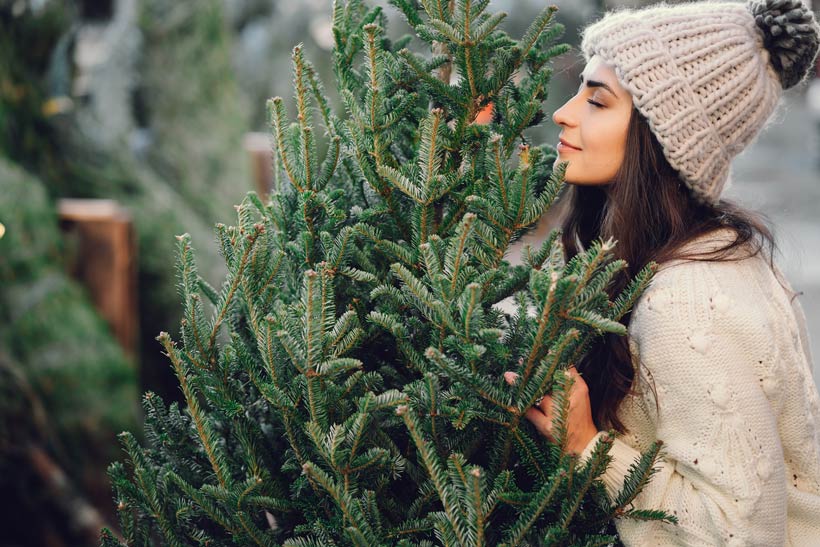 Sapin de Noël éco-responsable : Quelle option choisir pour un Noël plus respectueux de l’environnement ? 