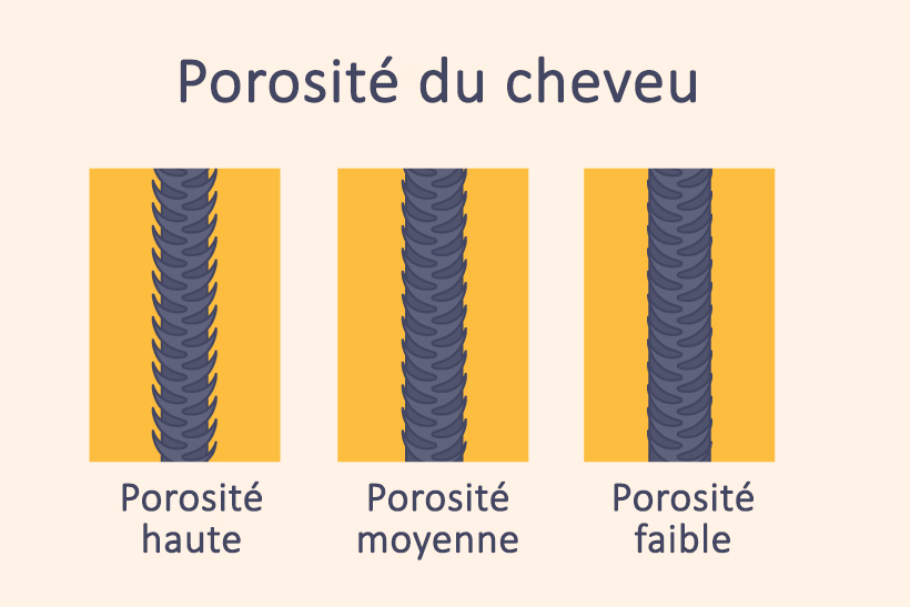 porosité du cheveu-1