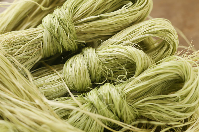 Fibres naturelles végétales