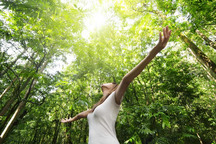 La biophilie, ce lien universel salutaire entre l’homme et la nature