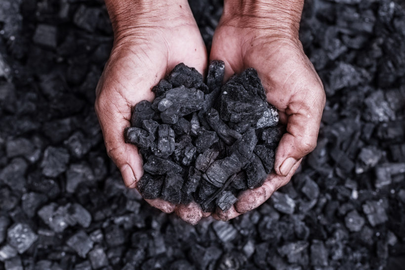 charbon végétal